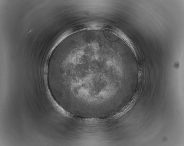 X0000098230859200805011255