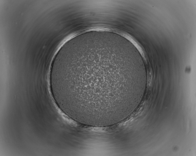 X0000098230861200805011255