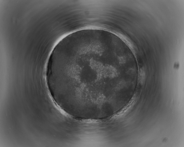 X0000098230862200805011255