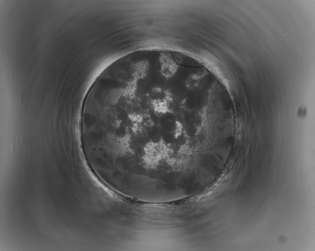 X0000098230863200805011255