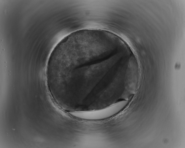 X0000098230864200805011256