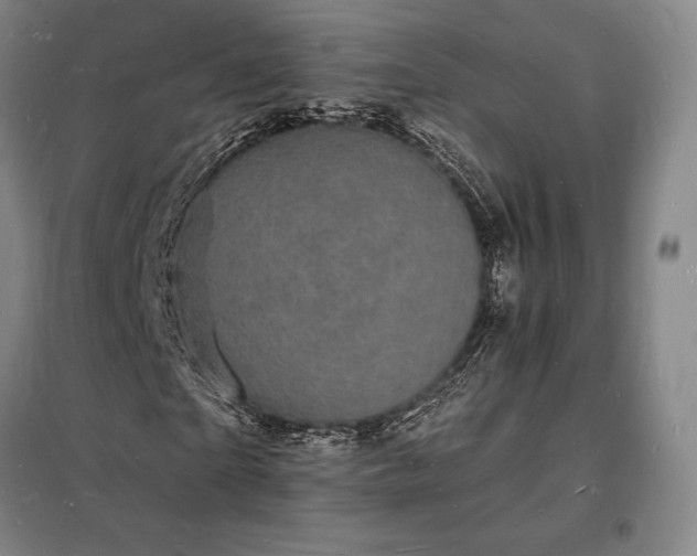 X0000098230865200805011255