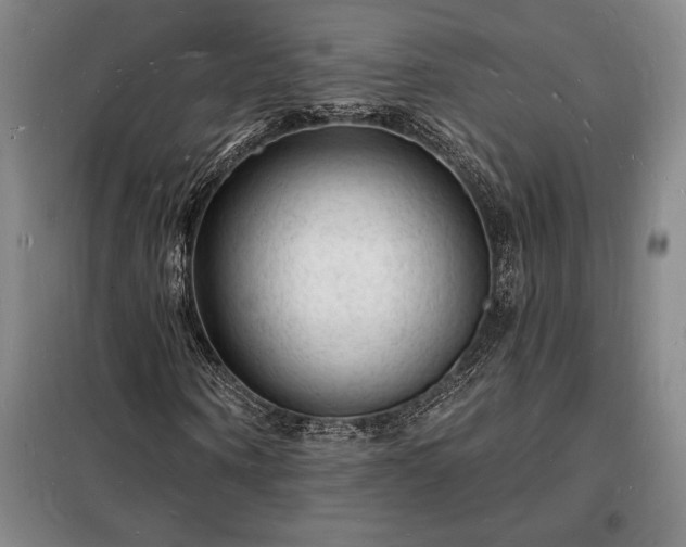 X0000098230866200805011255