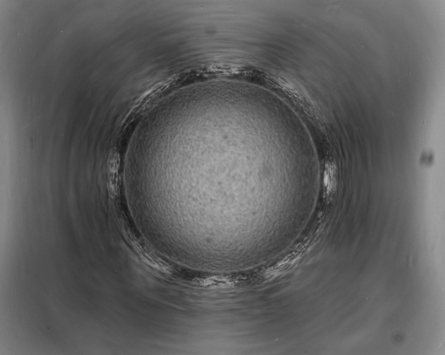 X0000098230867200805011255