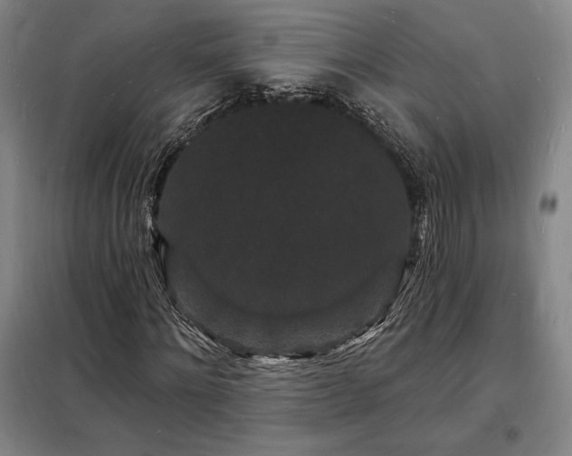 X0000098230868200805011255