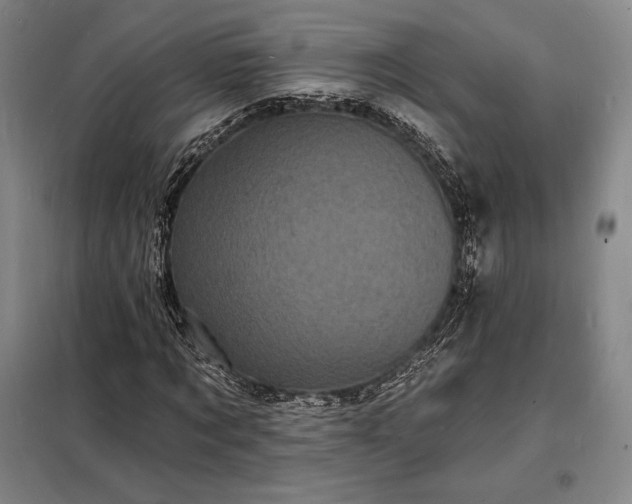 X0000098230869200805011255