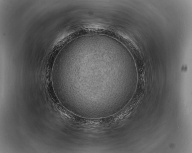 X0000098230870200805011255