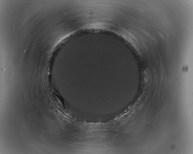 X0000098230872200805011255