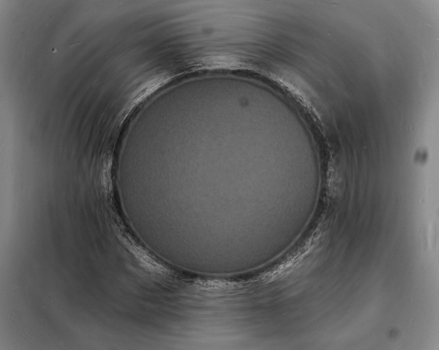 X0000098230873200805011255