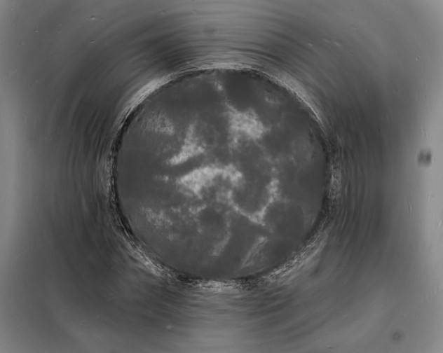 X0000098230874200805011255