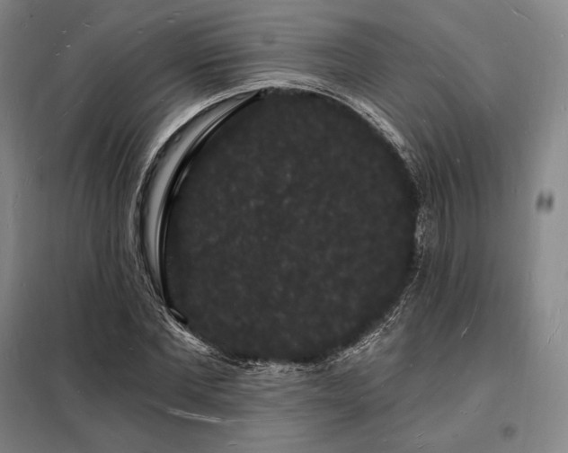 X0000098230877200805011255