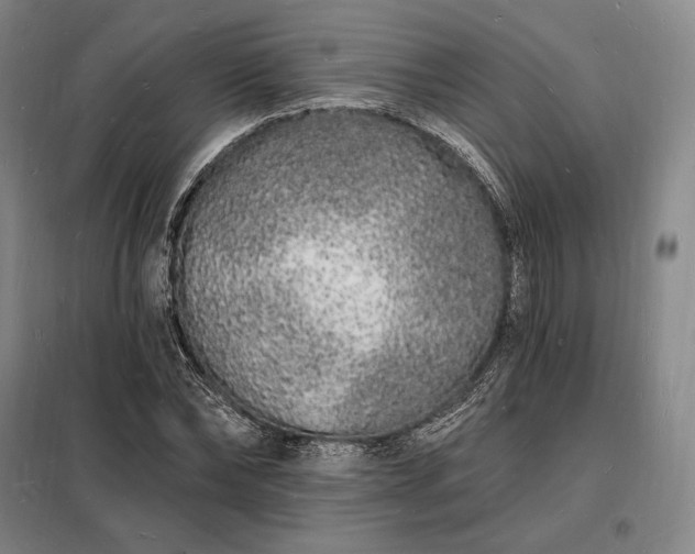X0000098230878200805011255
