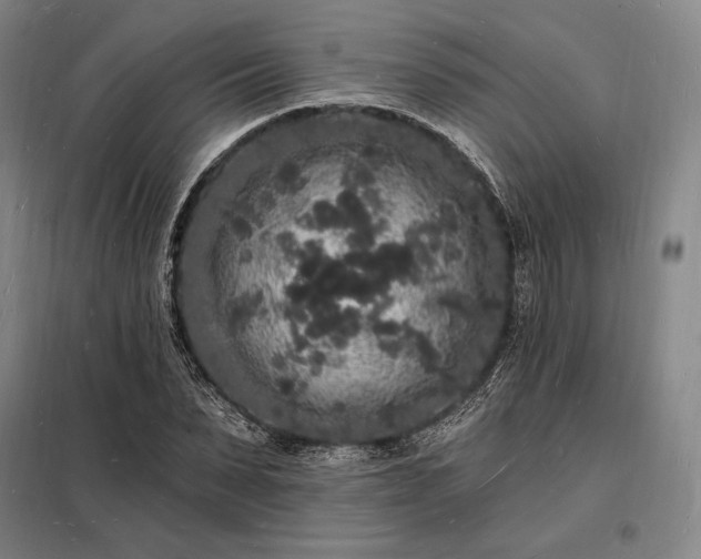 X0000098230879200805011255