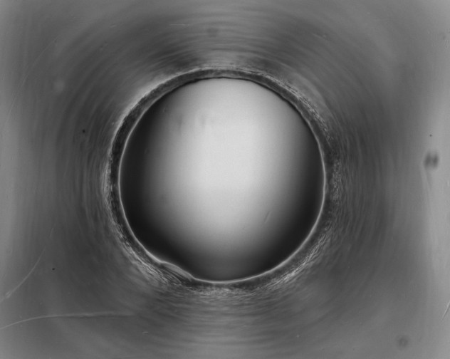 X0000098230880200805011255