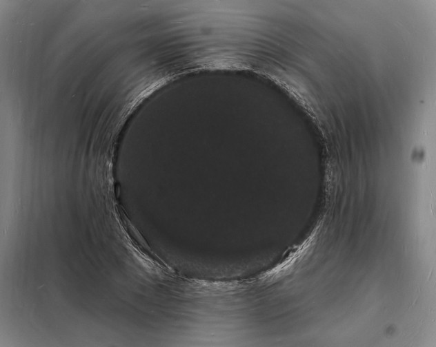 X0000098230881200805011255