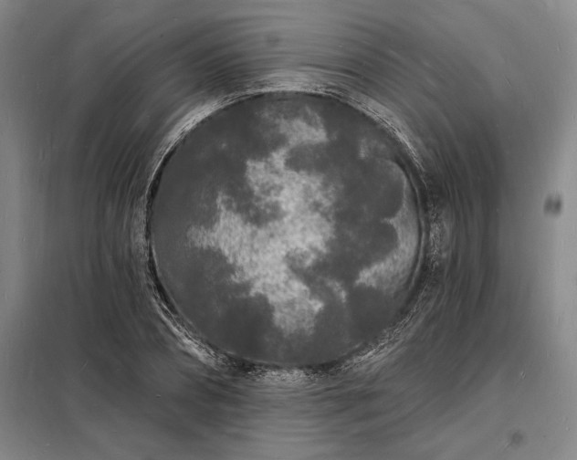 X0000098230882200805011255