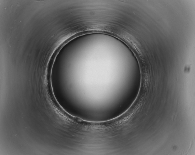 X0000098230884200805011255