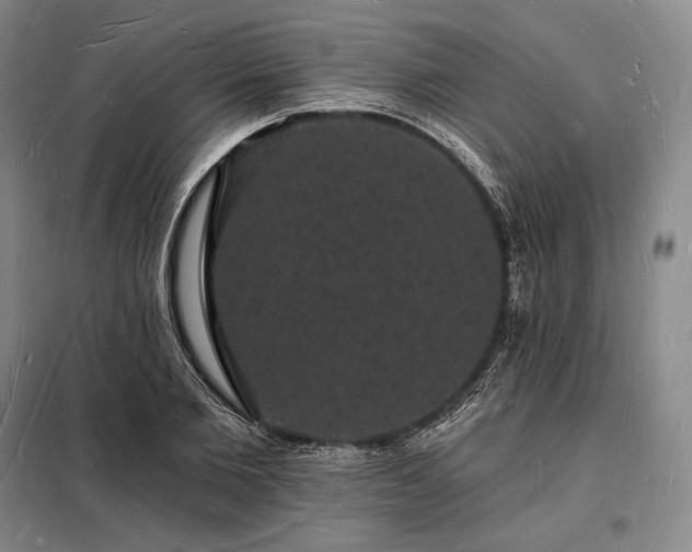 X0000098230885200805011255