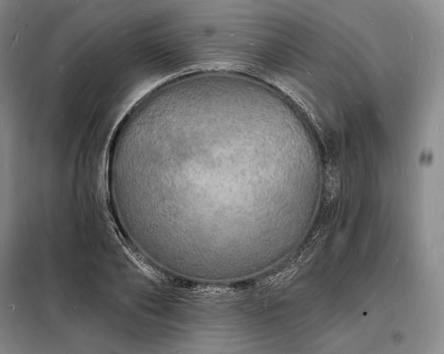 X0000098230886200805011255