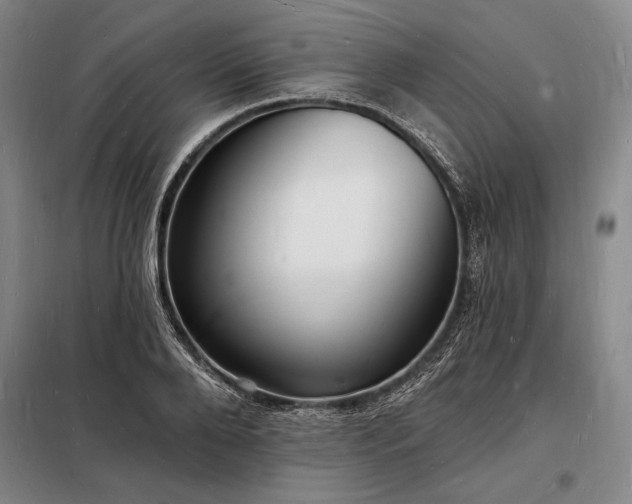 X0000098230888200805011255