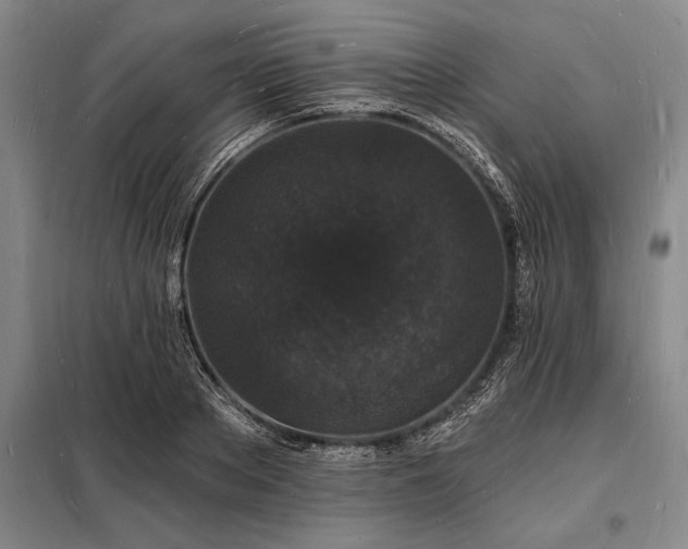 X0000098230889200805011255