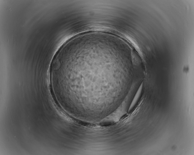 X0000098230891200805011254