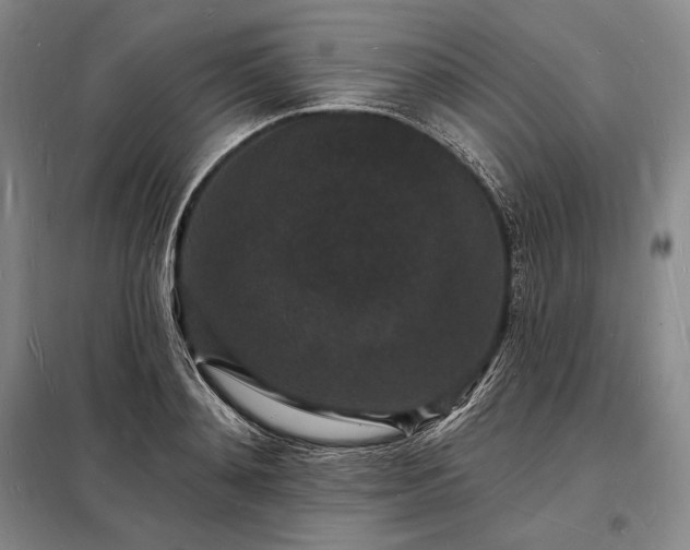 X0000098230892200805011254