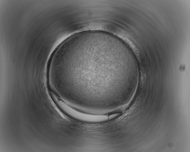 X0000098230894200805011254