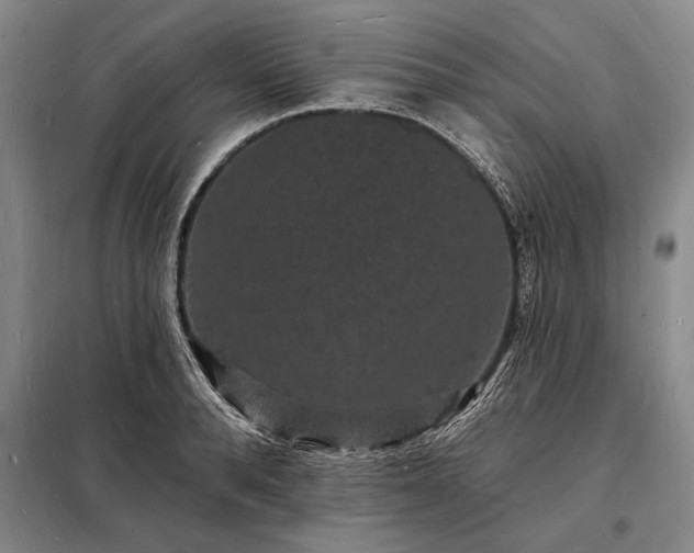 X0000098230896200805011254