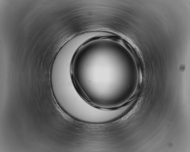 X0000098230897200805011254