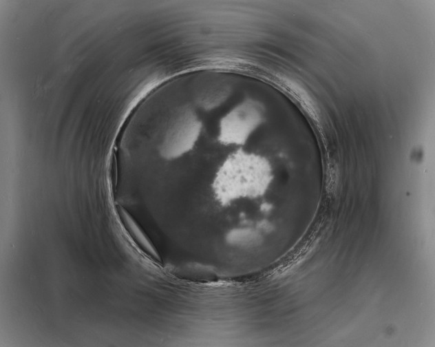 X0000098230899200805011254