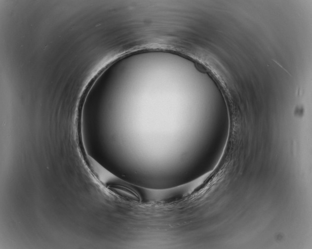 X0000098230902200805011254
