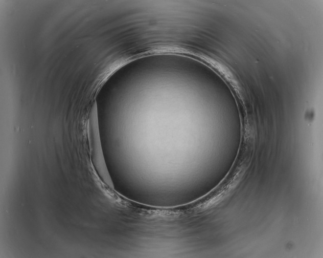 X0000098230905200805011254