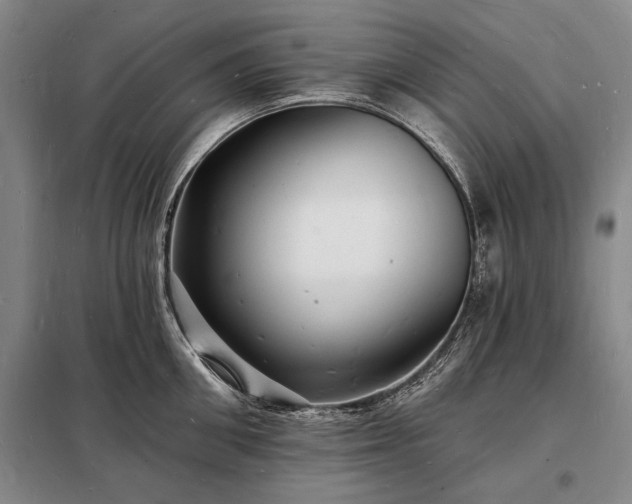 X0000098230906200805011254
