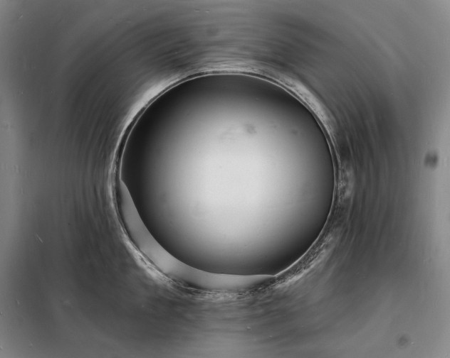 X0000098230909200805011254