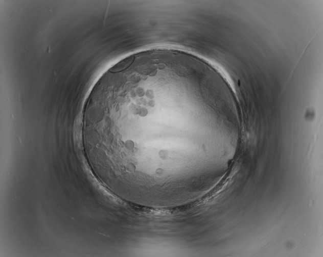 X0000098230911200805011254