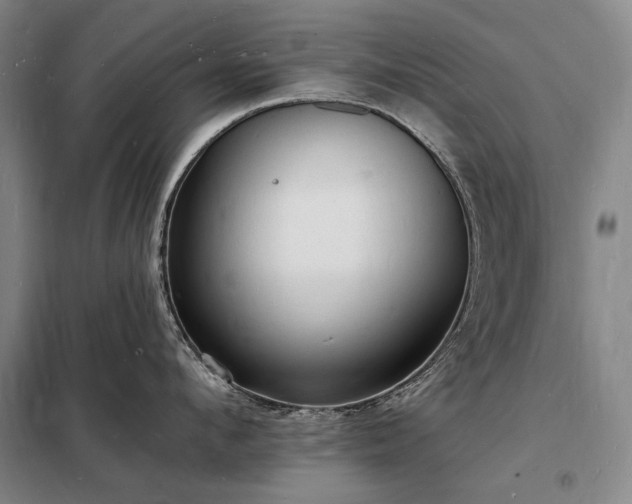 X0000098230912200805011254