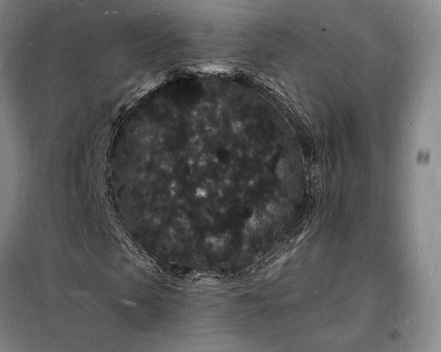 X0000098230913200805011254