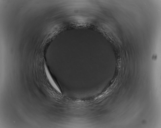 X0000098230916200805011254