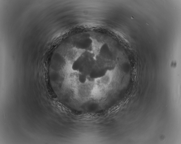 X0000098230917200805011254