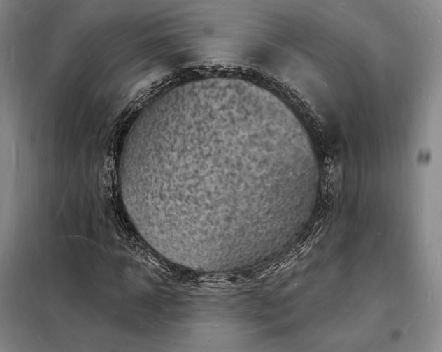 X0000098230918200805011254