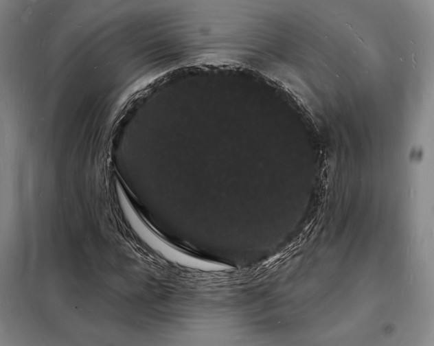 X0000098230920200805011254