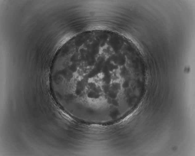 X0000098230921200805011254