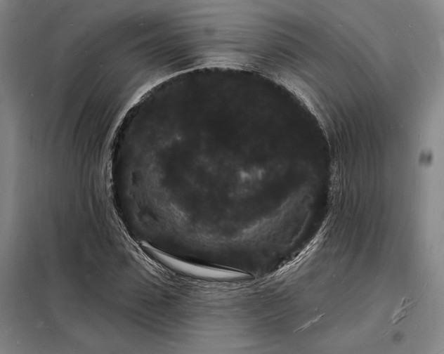 X0000098230923200805011254