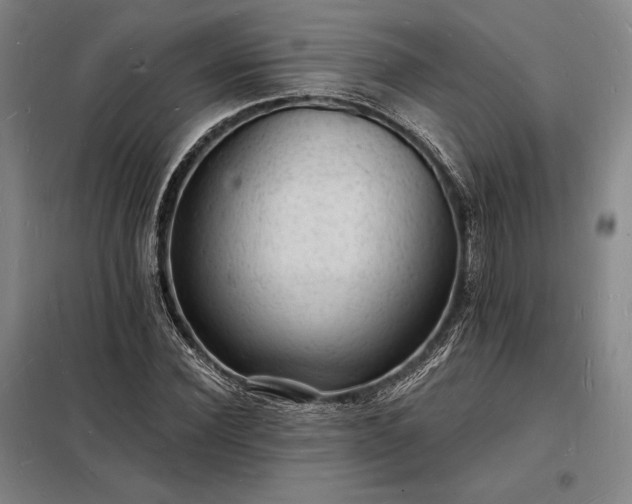 X0000098230924200805011254