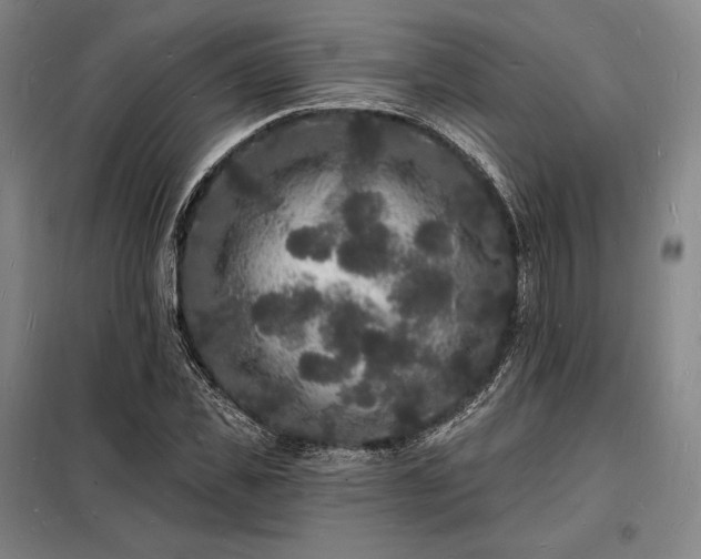X0000098230925200805011254