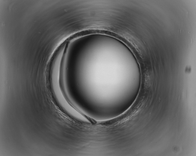X0000098230926200805011254