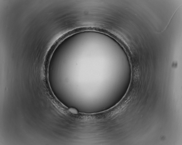 X0000098230927200805011254