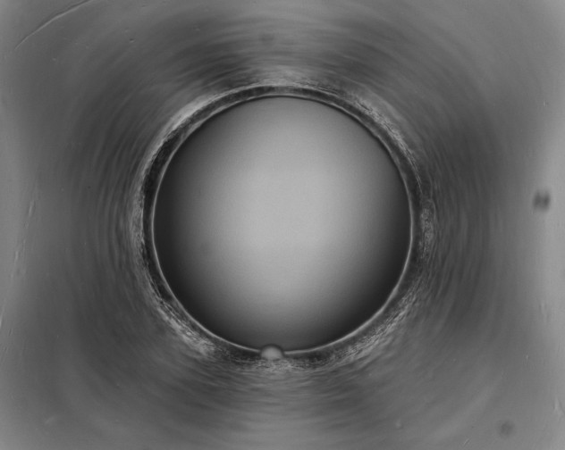 X0000098230931200805011254