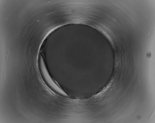 X0000098230932200805011254